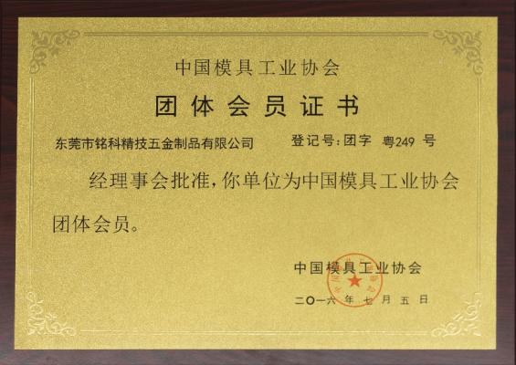 Member unit of China Mold Industry Association